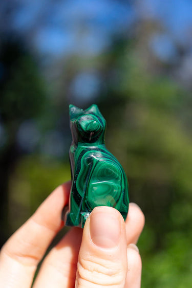 Malachite Cat